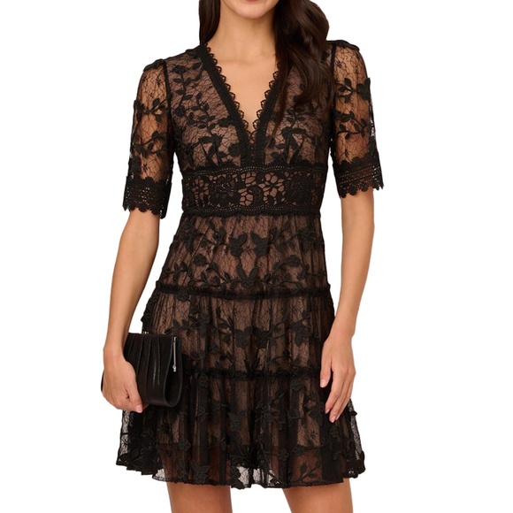 Adrianna Papell - Lace Embroidered V Neck Dress With Elbow Sleeves In Black Nude - Picture 1 of 10